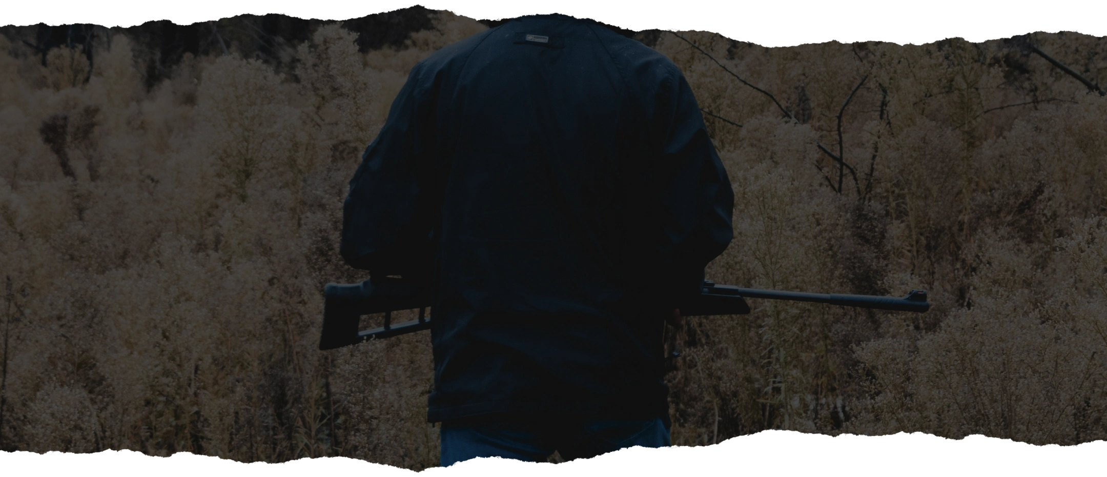 bannerFormMale