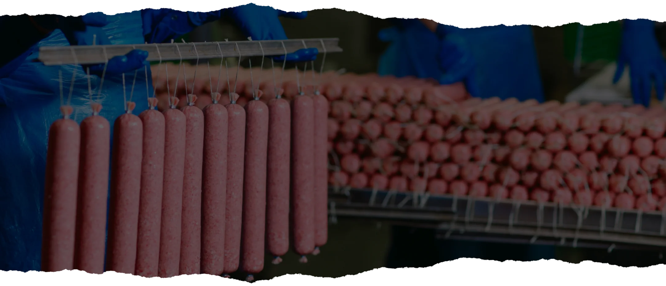 bannerGrosGibier
