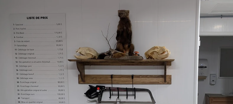 img-chasse